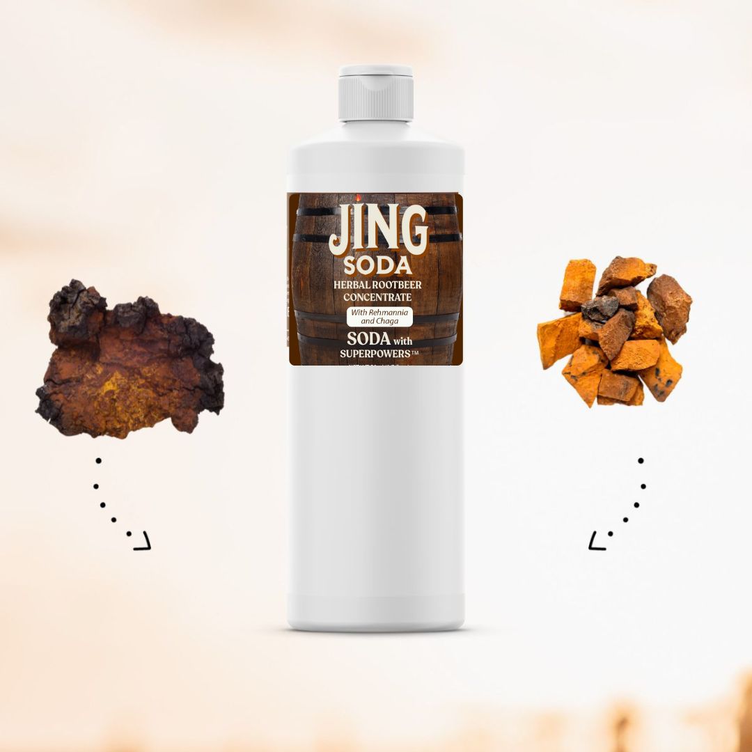 Jing Soda, Root Beer Cream, 32oz