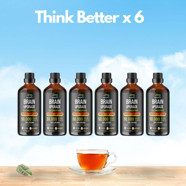 Jing Nootropics Brain Upgrade™ 6-Pack