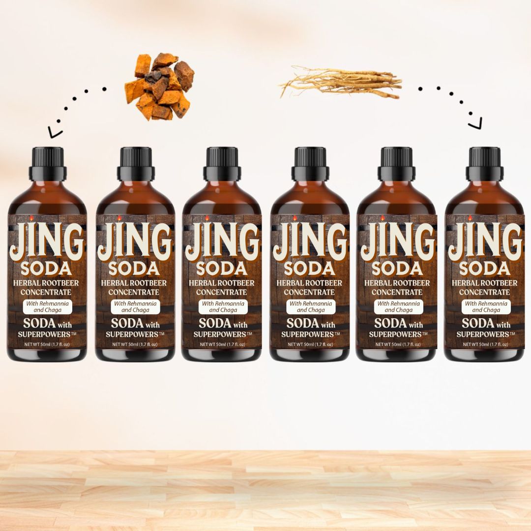 Jing Soda, Root Beer Cream, 50mL (6 Pack)