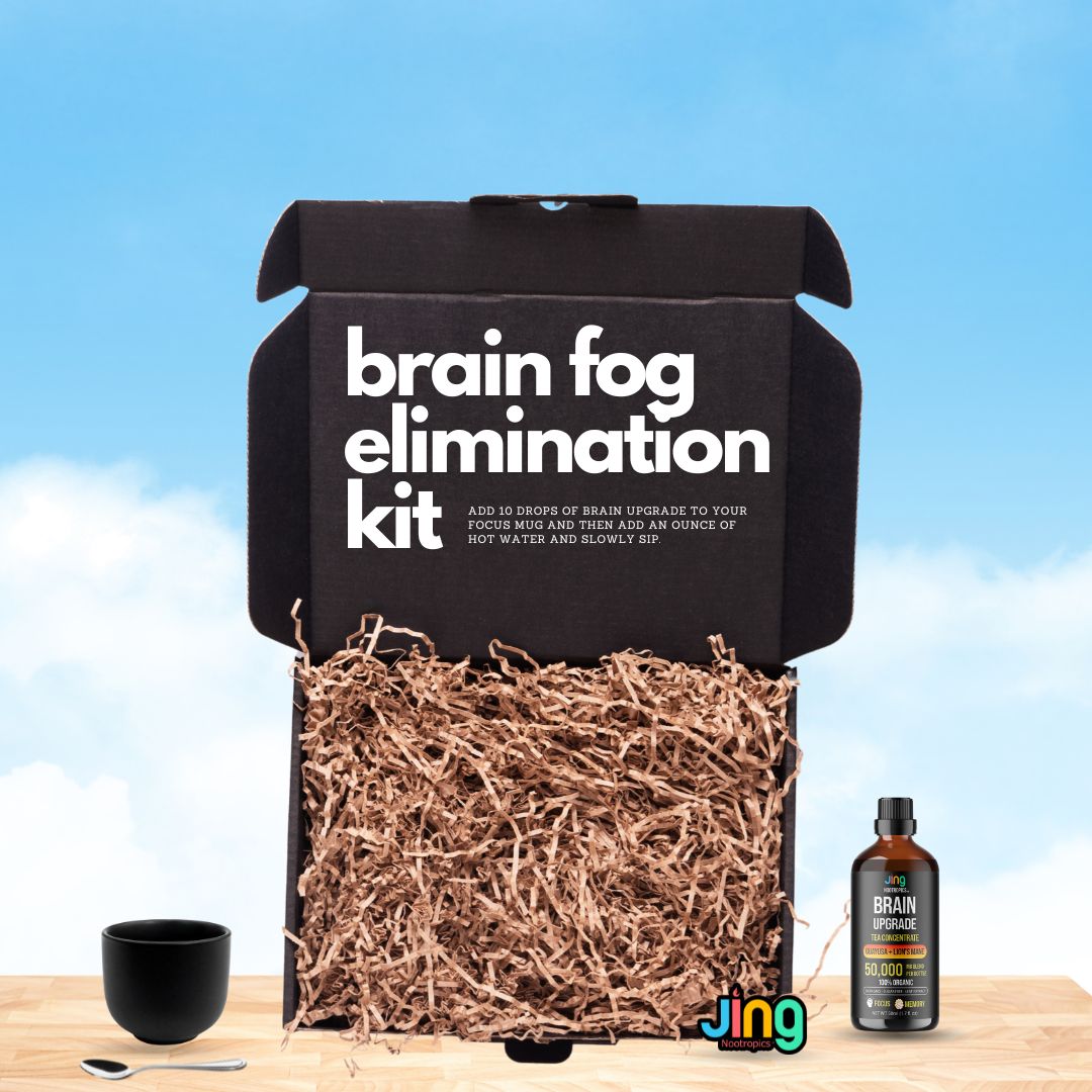 Jing Nootropics Brain Upgrade™ + Starter Kit – Jing Soda®