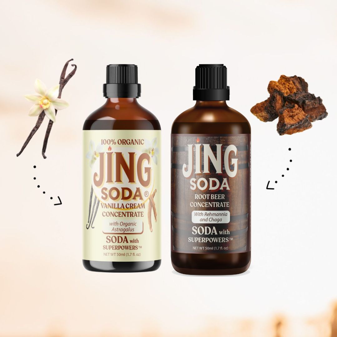 Jing Soda® Vanilla Root Beer, 2-Pack