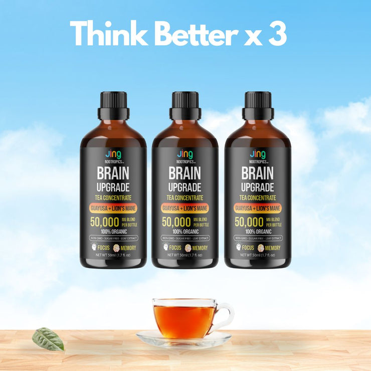 Jing Nootropic Brain Upgrade™ 3-Pack