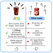Jing Soda® Super Herb Cola - 3 Bottle Bundle!