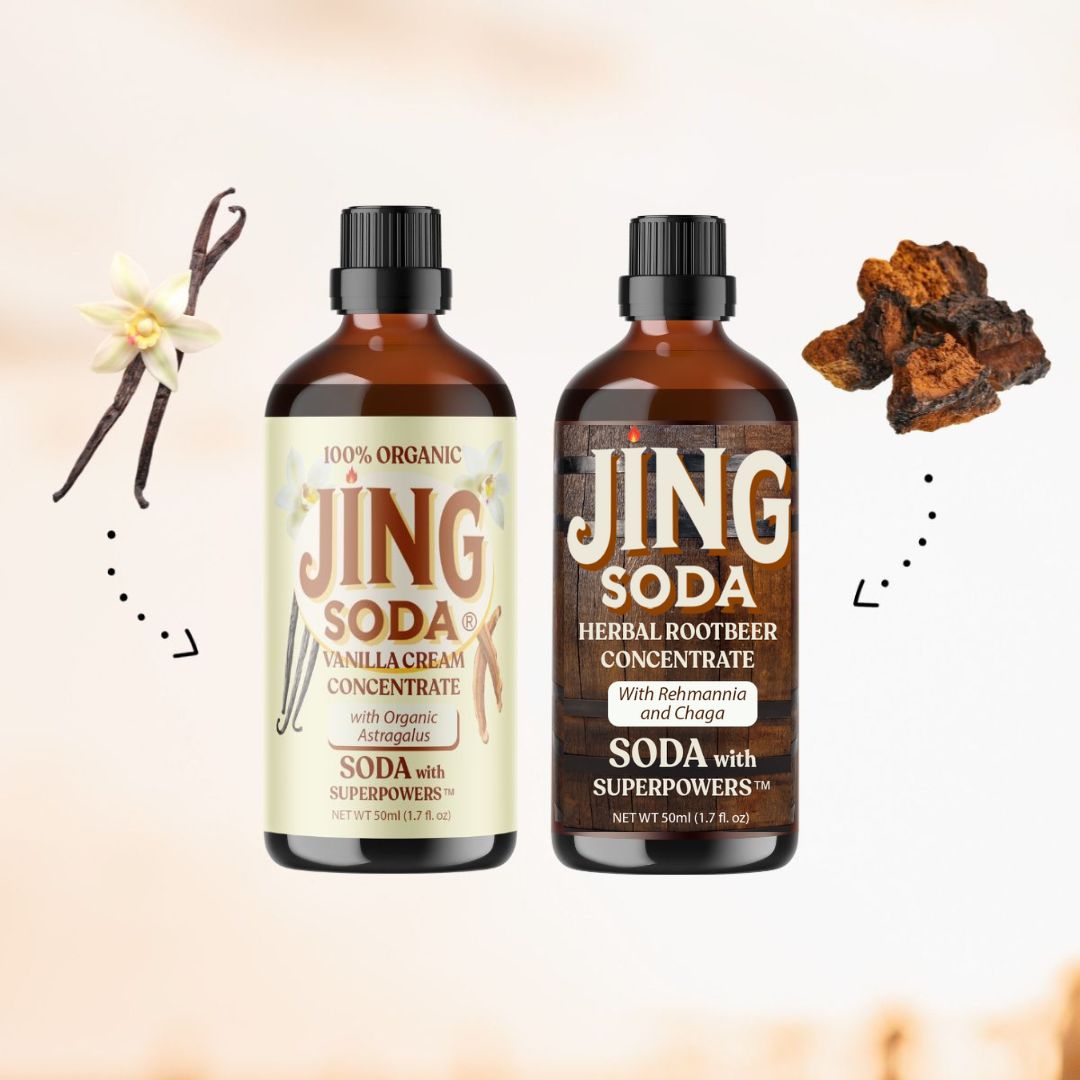 Jing Soda® Vanilla Root Beer, 2-Pack