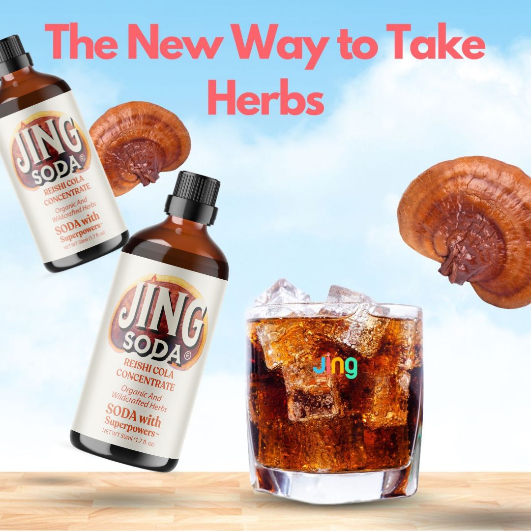 Jing Soda, Reishi Cola, 32oz