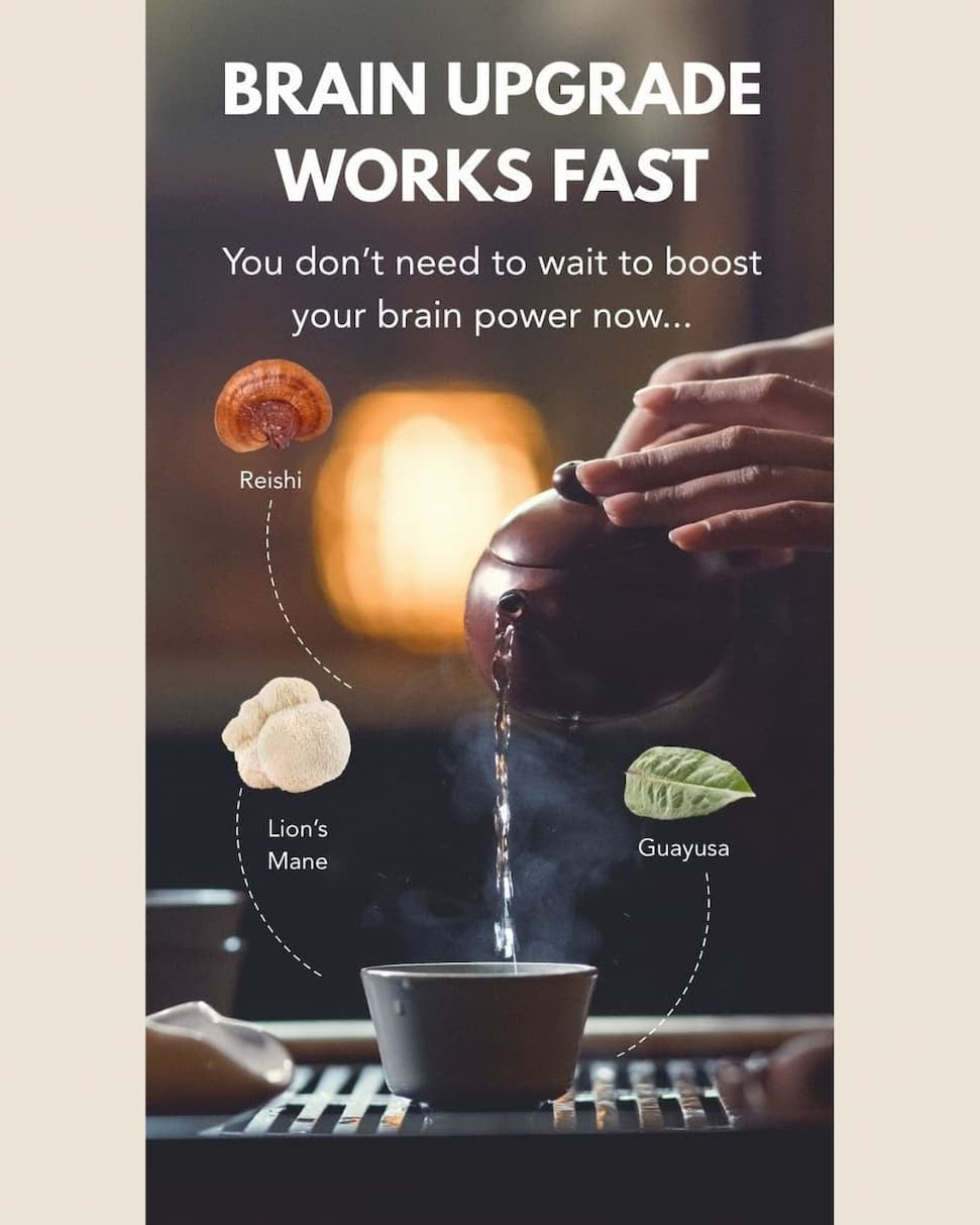 Buy Two Brain Upgrade, Get One Free