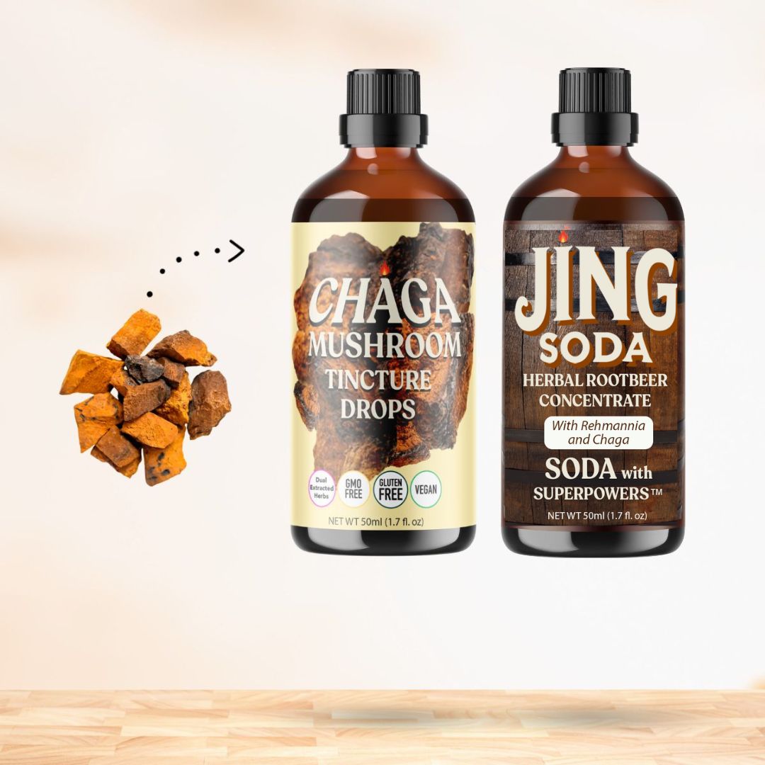 Root Beer Chaga Boost Bundle